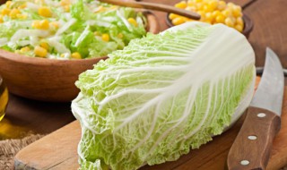 阳台最好养的蔬菜（阳台最好养的蔬菜盆栽）