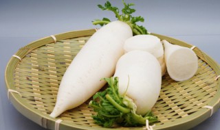 白萝卜的种植时间和方法（白萝卜的种植时间和方法是什么）