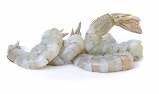 海水虾怎么养（海水虾怎么养才能活）