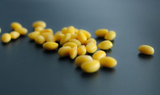 5月黄豆什么时候种 5月黄豆什么时候种好