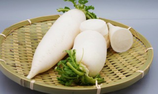 白萝卜种植技巧?阳台（小白萝卜的种植方法）