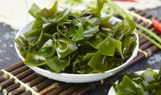 海带怎么繁殖（海带怎么繁殖的）