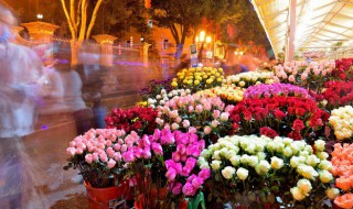 水仙花怎么繁殖 水仙花怎么繁殖新种球