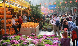 绣球花怎么养才开不了花 绣球花怎么养才开不了花盆