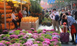 世界名花是什么花（世界上所有花的花名）