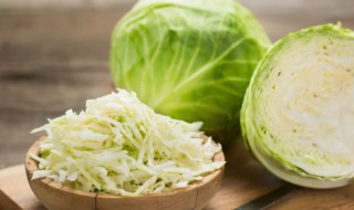 包菜养殖技巧 包菜养殖技巧与方法