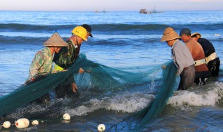 怎样在湖南臭鳜鱼养殖技巧（湖南臭鳜鱼烹饪方法）
