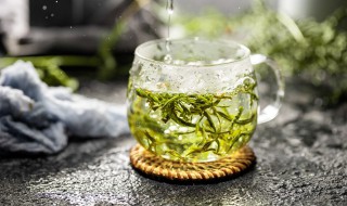 扦插茶叶苗什么时候移栽 扦插茶叶苗什么时候移栽最好