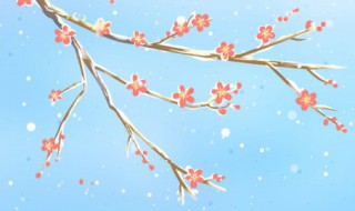 梅花什么时候扦插好活 梅花什么时候扦插好活啊